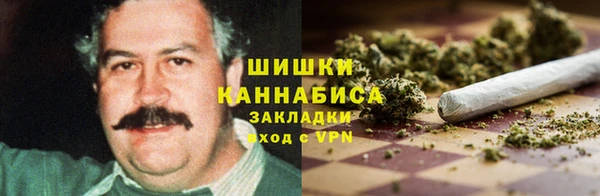 стаф Кинешма