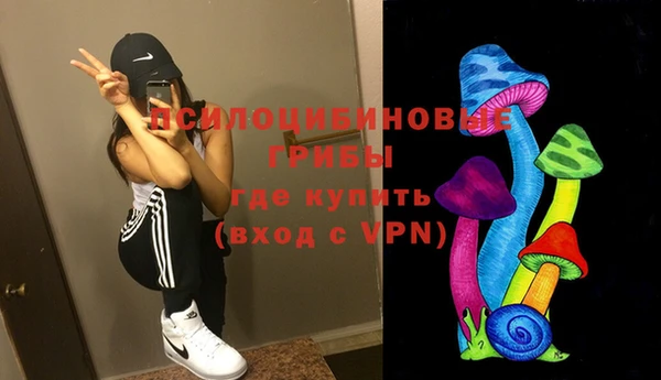 герыч Козельск