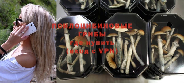 прущие крисы Весьегонск