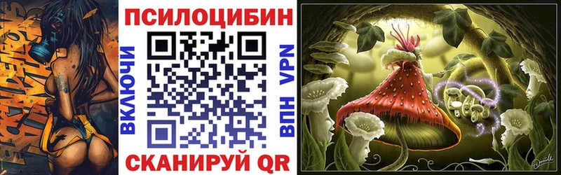 Галлюциногенные грибы прущие грибы  мориарти какой сайт  Ковдор 