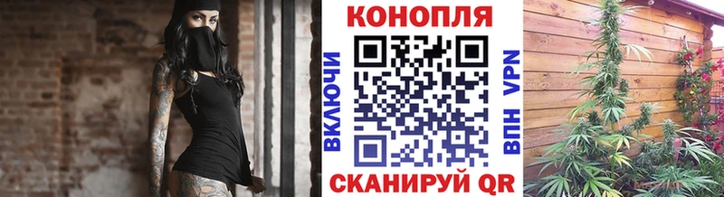 МАРИХУАНА план  что такое наркотик  Ковдор 